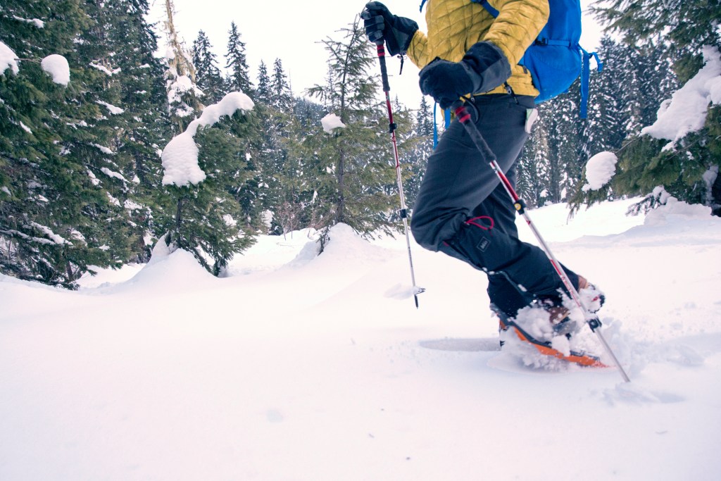 snowshoer trekking through fresh snow powder