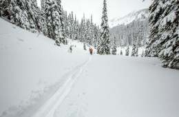 two backcountry skiers making a skin track in the backcountry