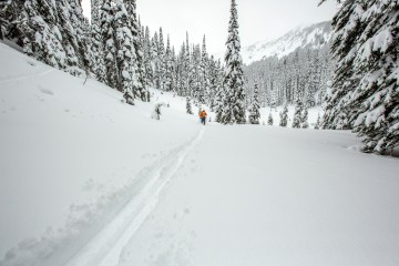 two backcountry skiers making a skin track in the backcountry