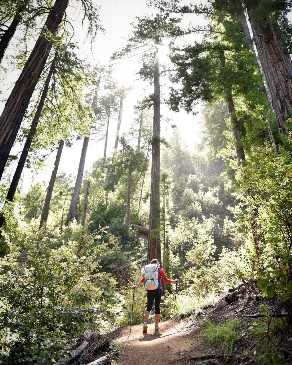 a woman hiking through the woods