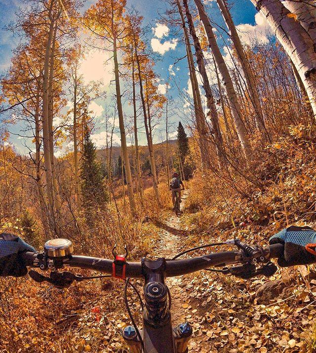 mountain bike on trail