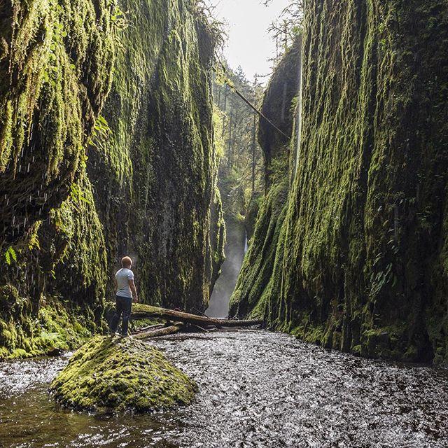 person with moss