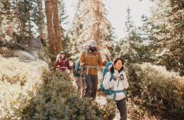 Four people hiking in REI Co-op gear