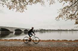 Cyclist by river