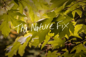 The Nature Fix header image. Closing the Bravery Gap