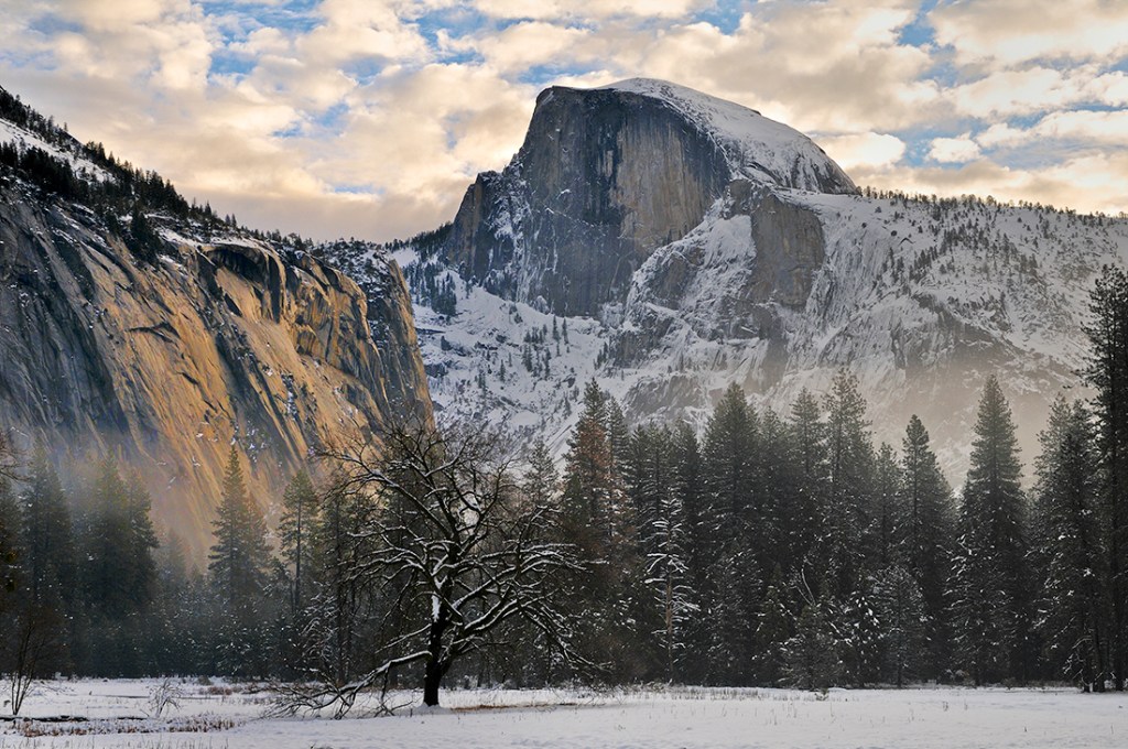 Oak in Yosemite Valley and Half Dome in winter, Yosemite National Park.