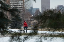 Person with dog in city park