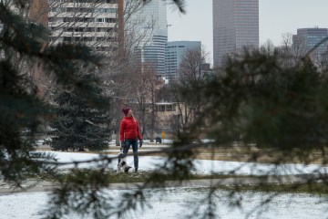 Person with dog in city park