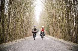 Co-op Cycles bikes on a dirt trail