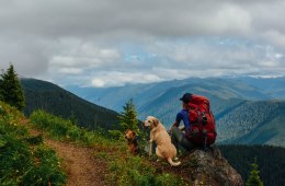 How to Plan a Dog-Friendly Backpacking Trip