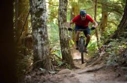 5 Tips to Help You Shred Through the Trees