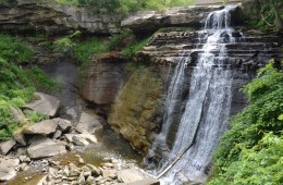 Welcome to Suburban National Park Paradise