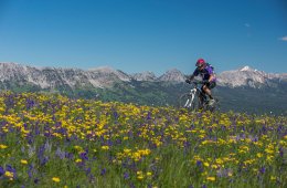 Grizzlies Add an Extra Dash of Spice to This Must-Ride Montana Epic