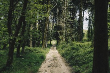 How One Trail Runner Transitioned from the Mountains to the Flatlands