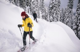 Snowshoes and Brews Around Washington