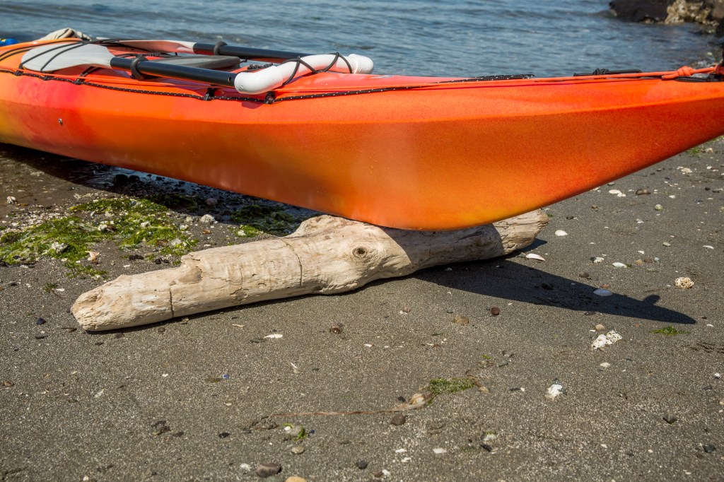 Kayak resting on log