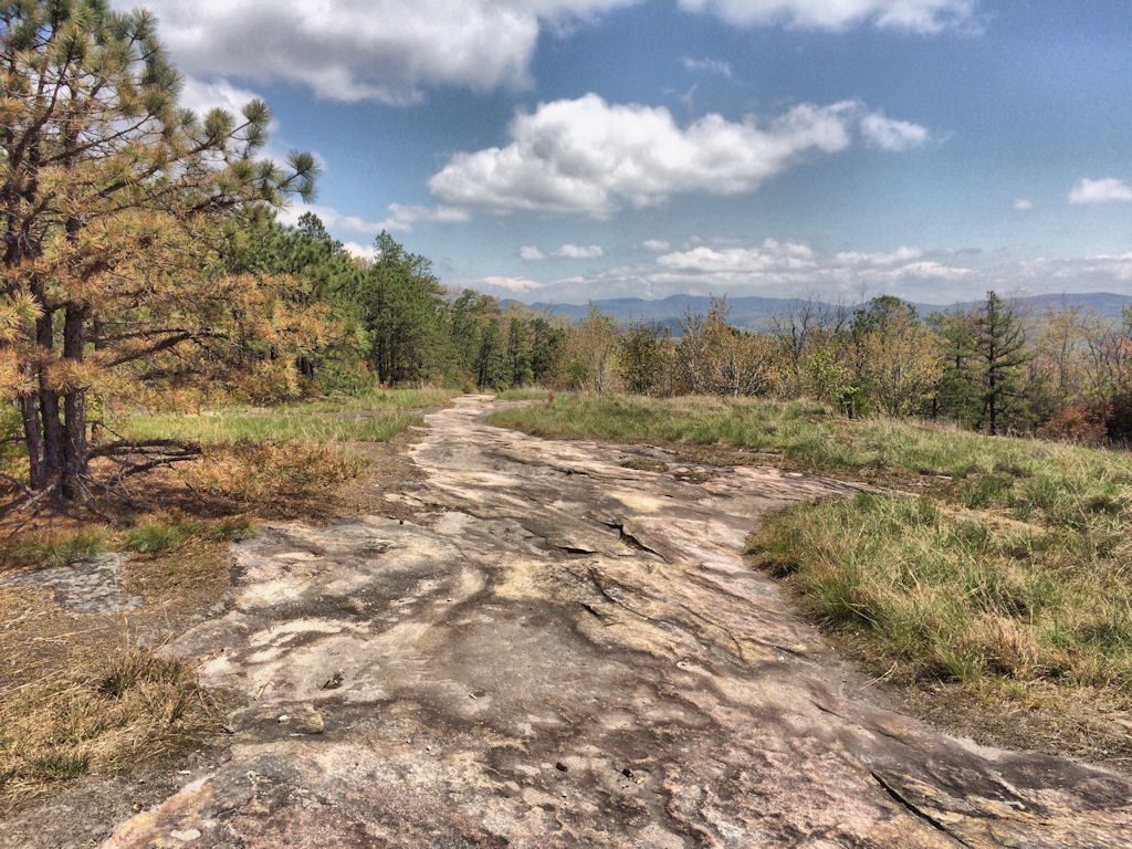 slickrock on cedar rock trail