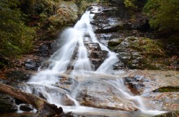 How You Too Can Help Protect Rivers in Our National Forests