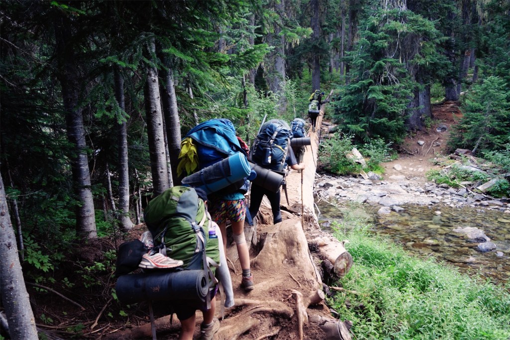 Girls crossing a log bridge