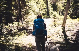 backpacker with dog in the woods