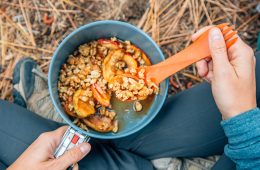 Backpacking Recipe Apple Crisp