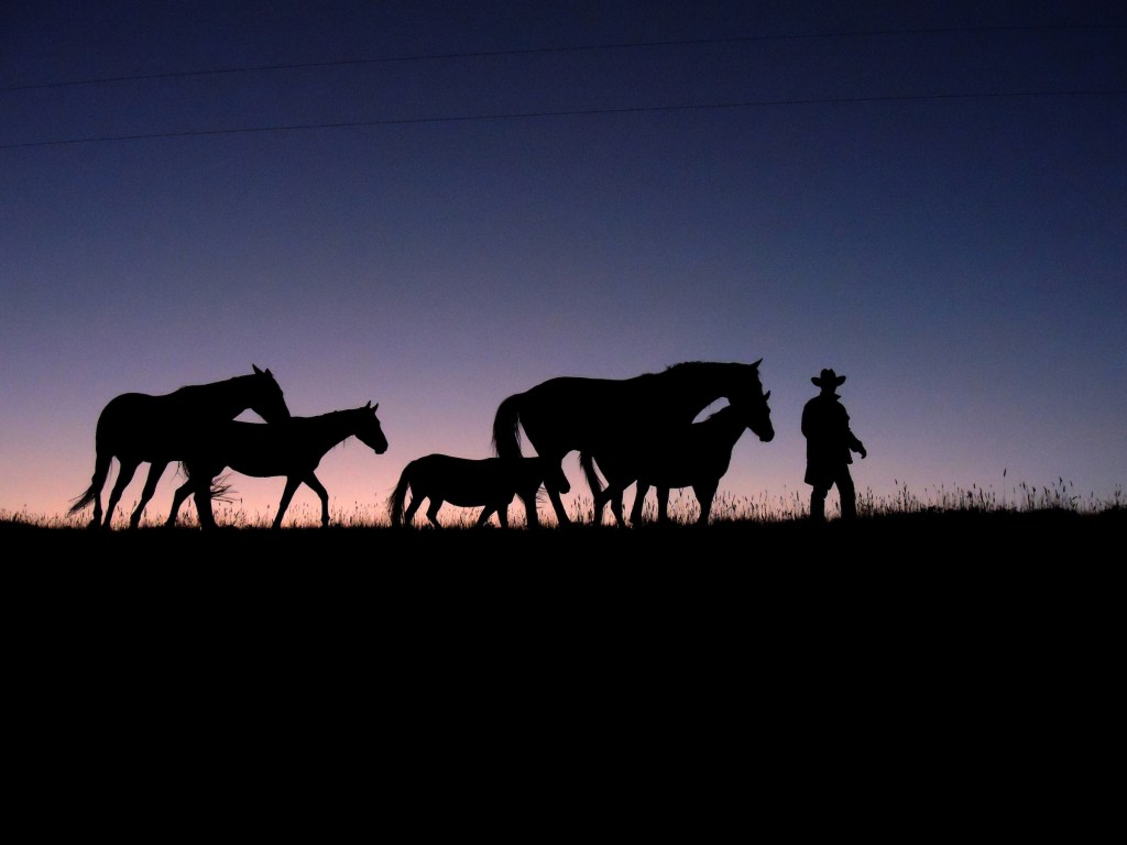 J-L ranch in Centennial Valley of Southwest Montana