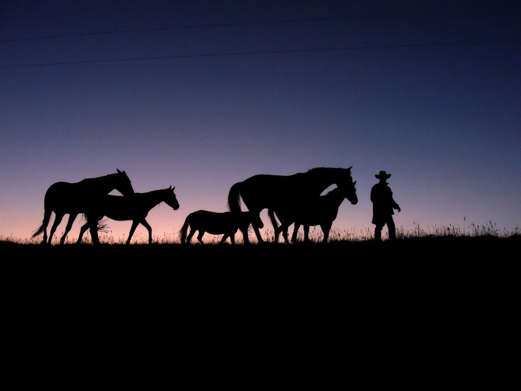 J-L ranch in Centennial Valley of Southwest Montana 