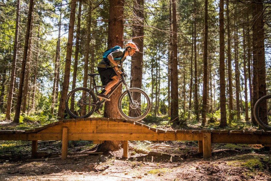 Mountain biker on a trail