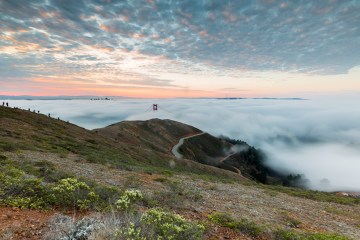 Bay Area Ridge Trail Rewilding Project: Completing the Loop