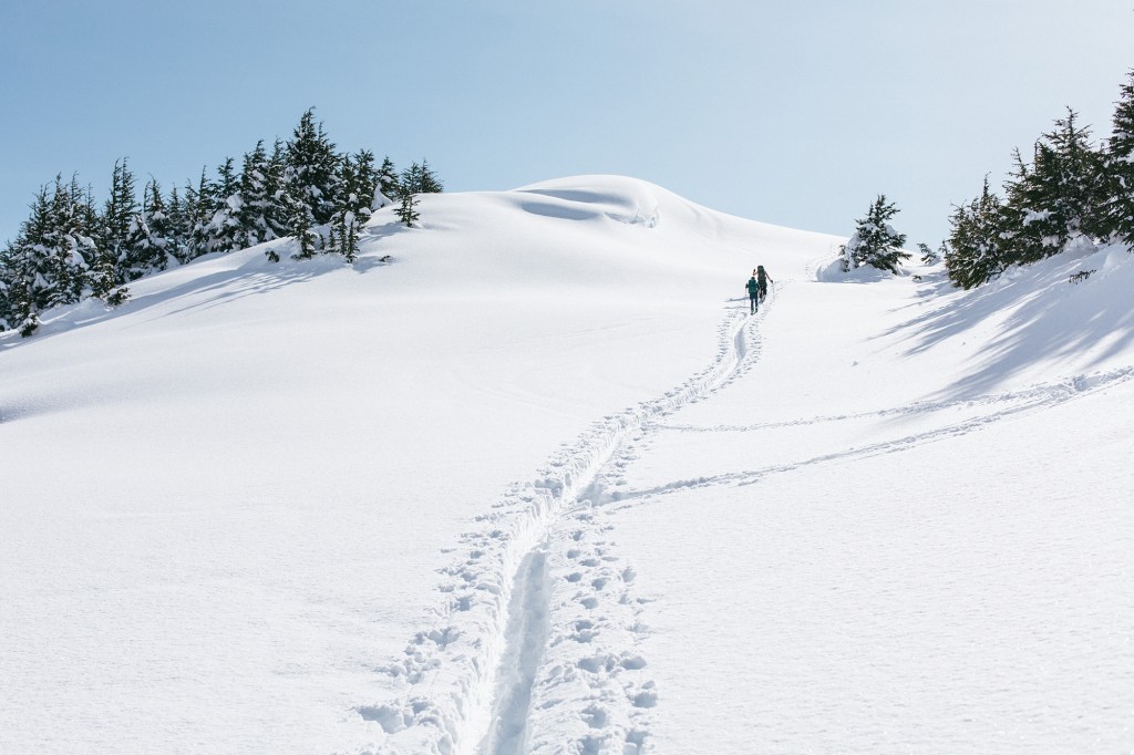 Backcountry skiing in Alaska