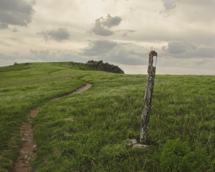 The Appalachian Trail in Virginia.