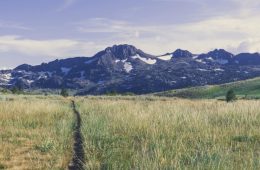 The Appalachian Trail vs. Pacific Crest Trail: Which Hike Is Right for You?