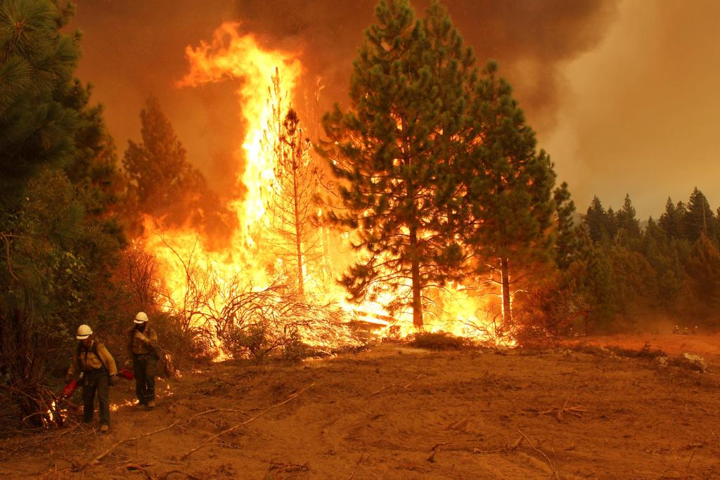 Wildfire
