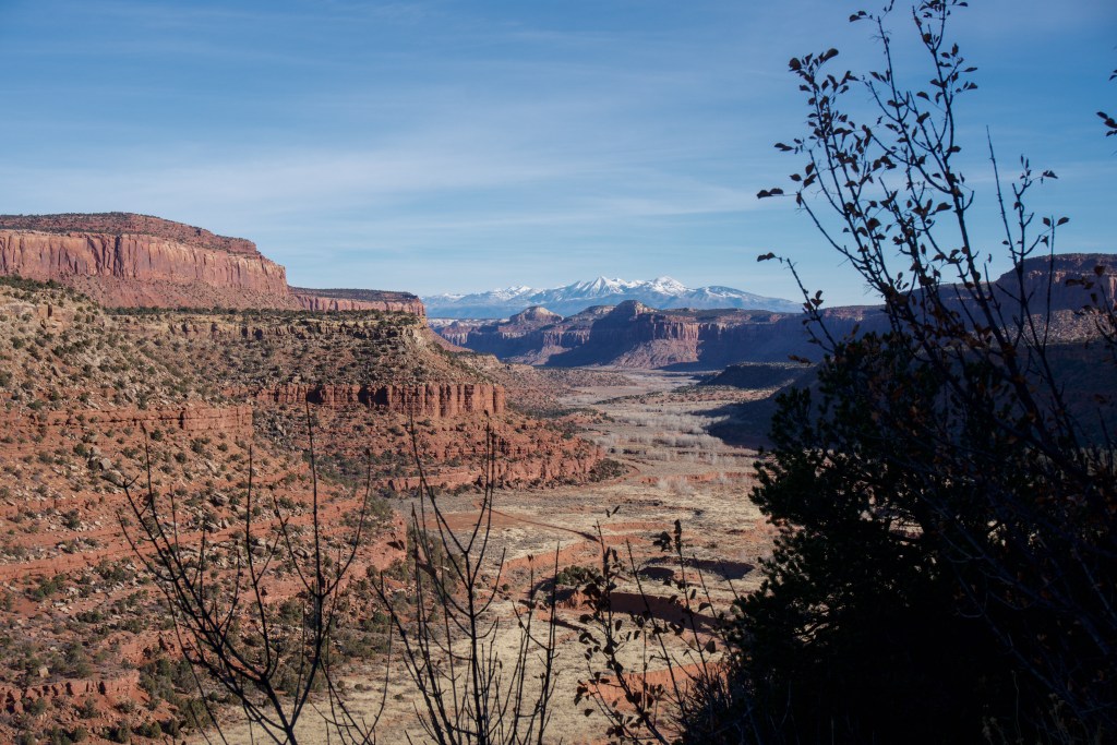 Bears Ears