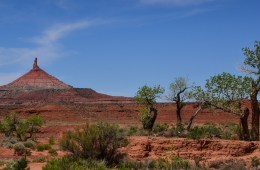 Bears Ears Six Shooter