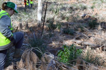 Participants in the EmpowHER for National Parks program work together to plant seedlings