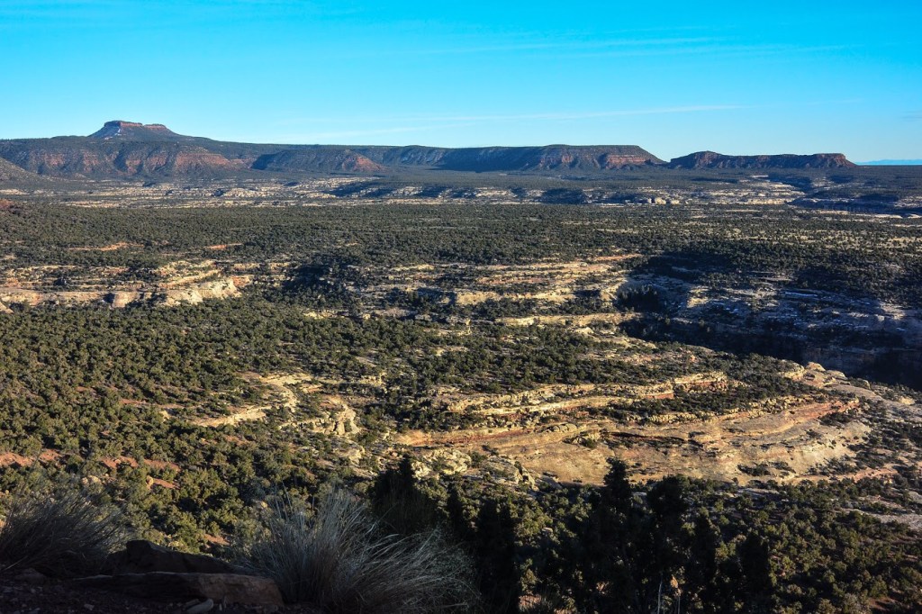 Bears Ears 