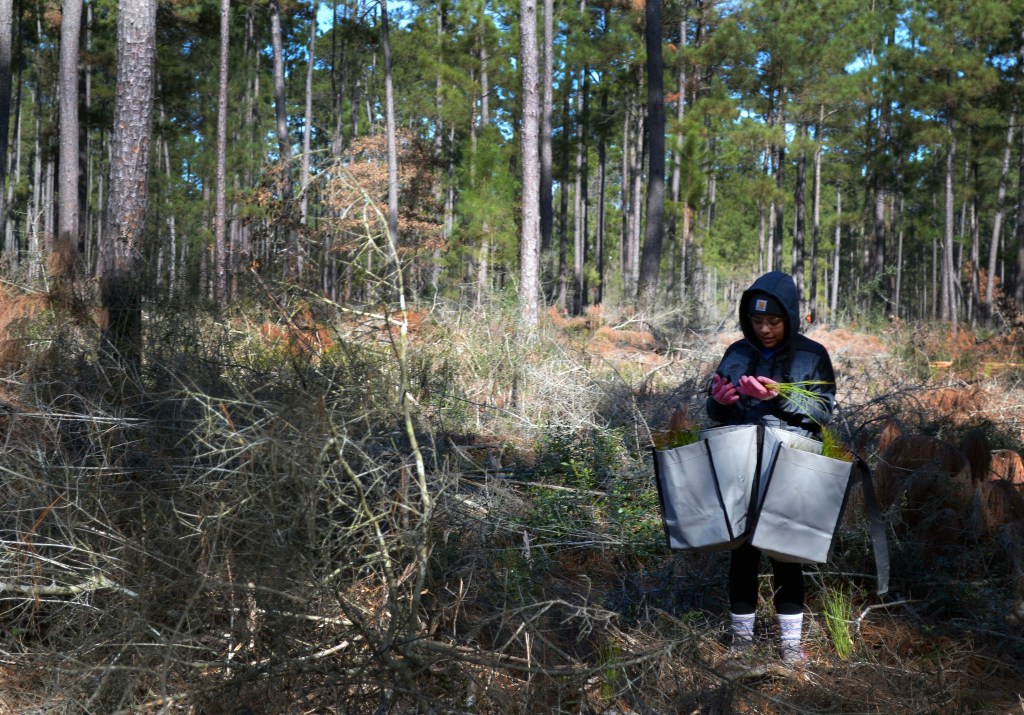 EmpowHER participant at Big Thicket National Preserve