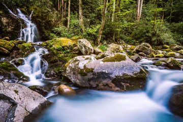 Mouse Creek Falls in a lush, green forest