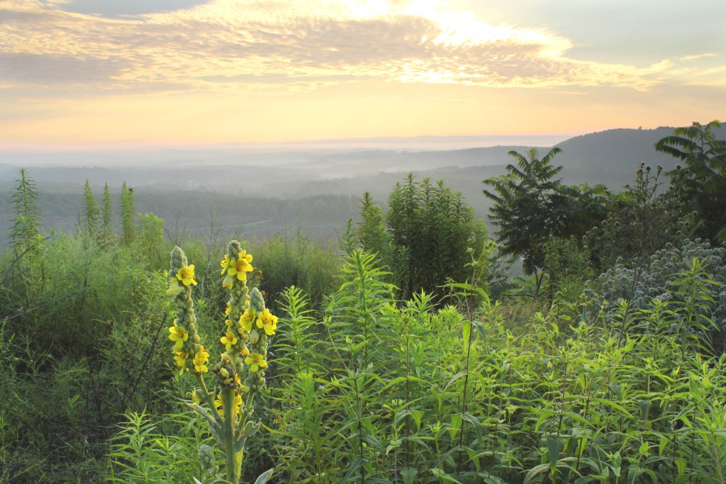The New England Trail