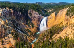 yellowstone national park