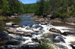 Sweetwater Creek at Sweetwater Creek State Park