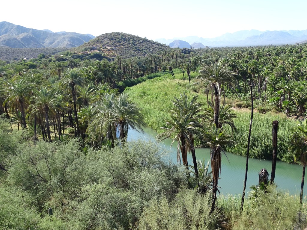 View over Mulege oasis in Baja California Sur, Mexico