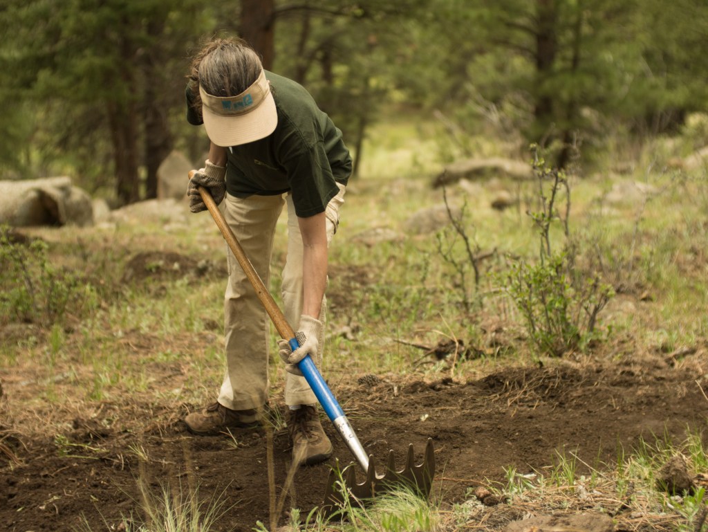 Trail building