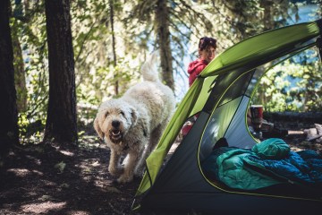 Tips for Backpacking with Your Dog