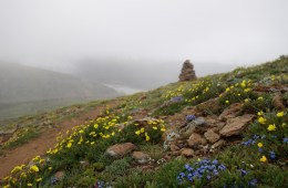 Continental Divide Trail (CDT)