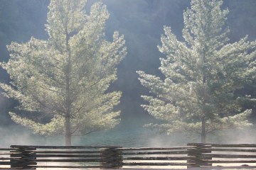 Natchez Trace Trail