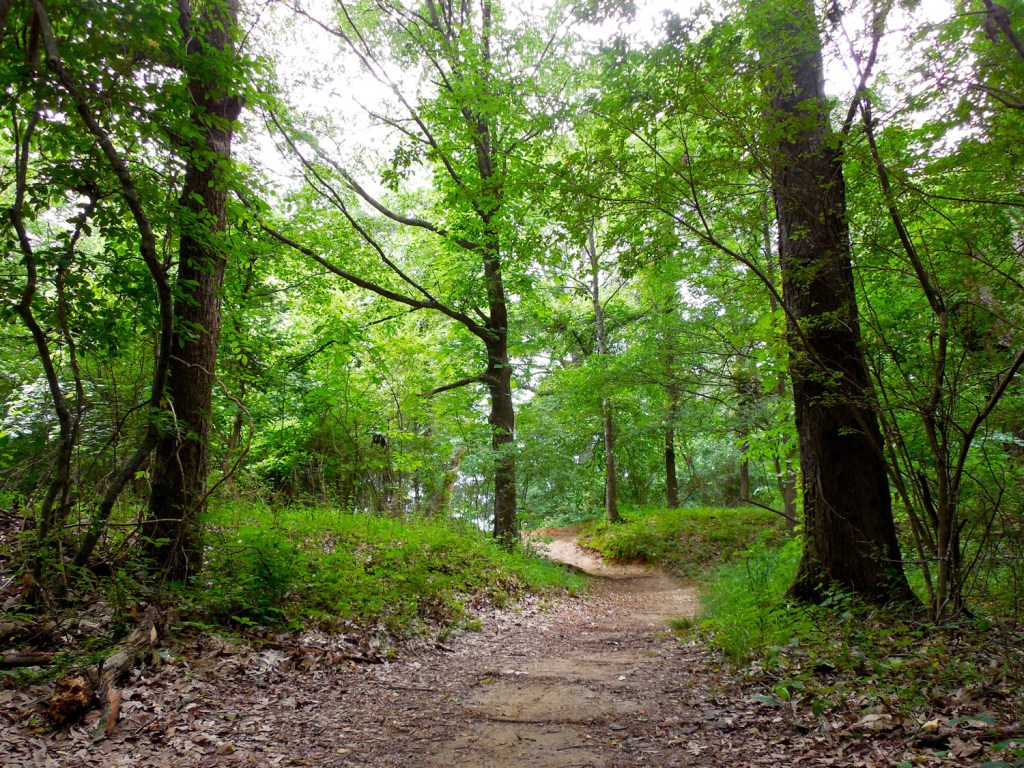 The Tour de Wolf Trail. (Photo Credit: Shelby Farms Park Conservancy)