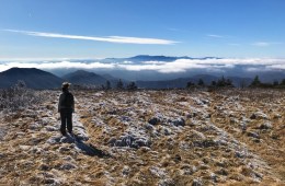 A woman taking in the view in a snowy field