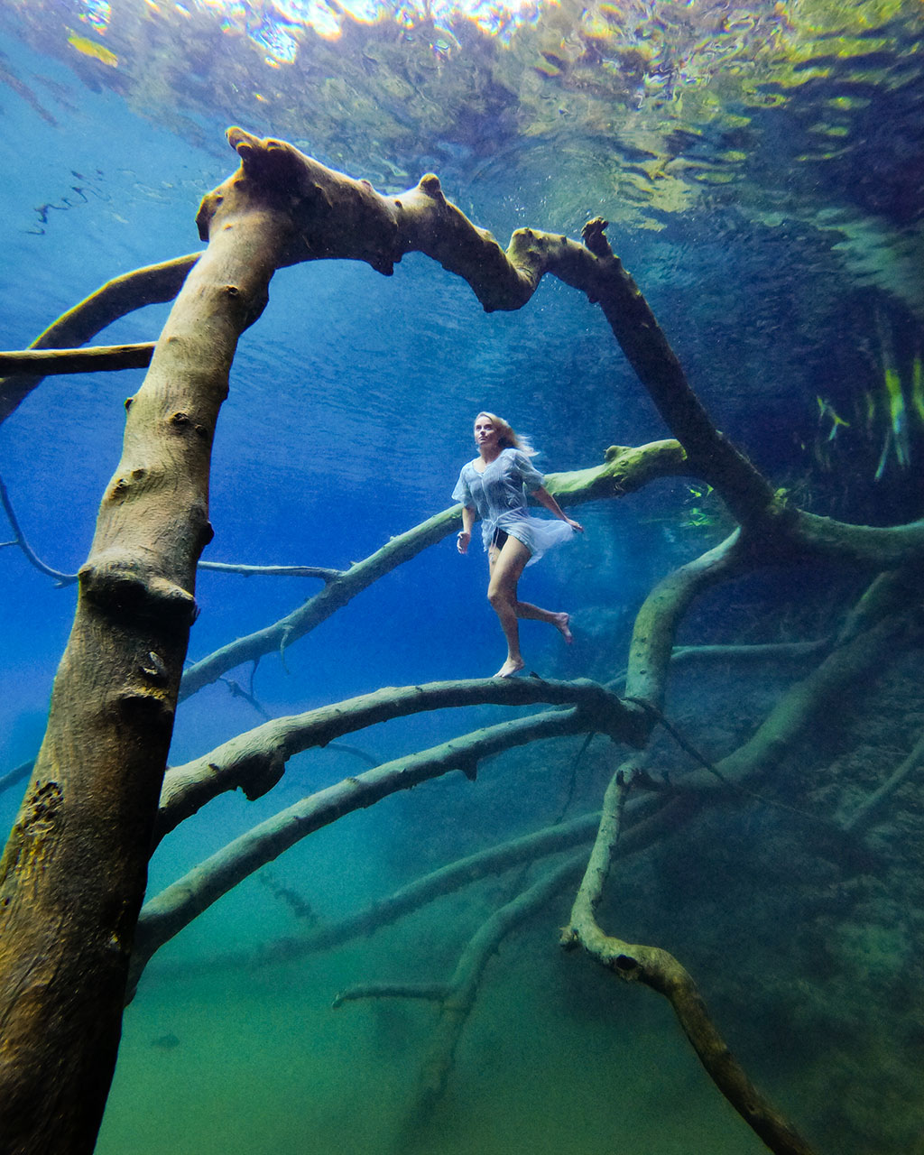Brinkley Davies walks along a dead tree in "Mirror Lake"